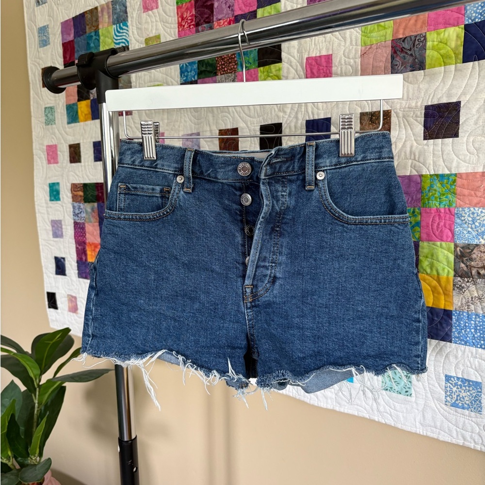 Everlane Blue Jean Shorts with Frayed Hem